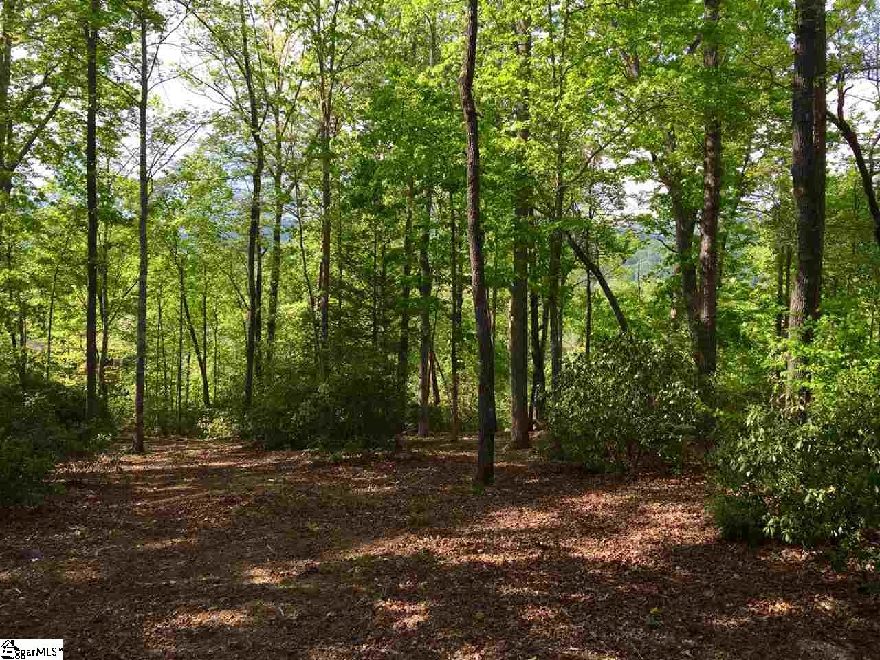 306 Lake Hills Lane, Travelers Rest, SC 29690
