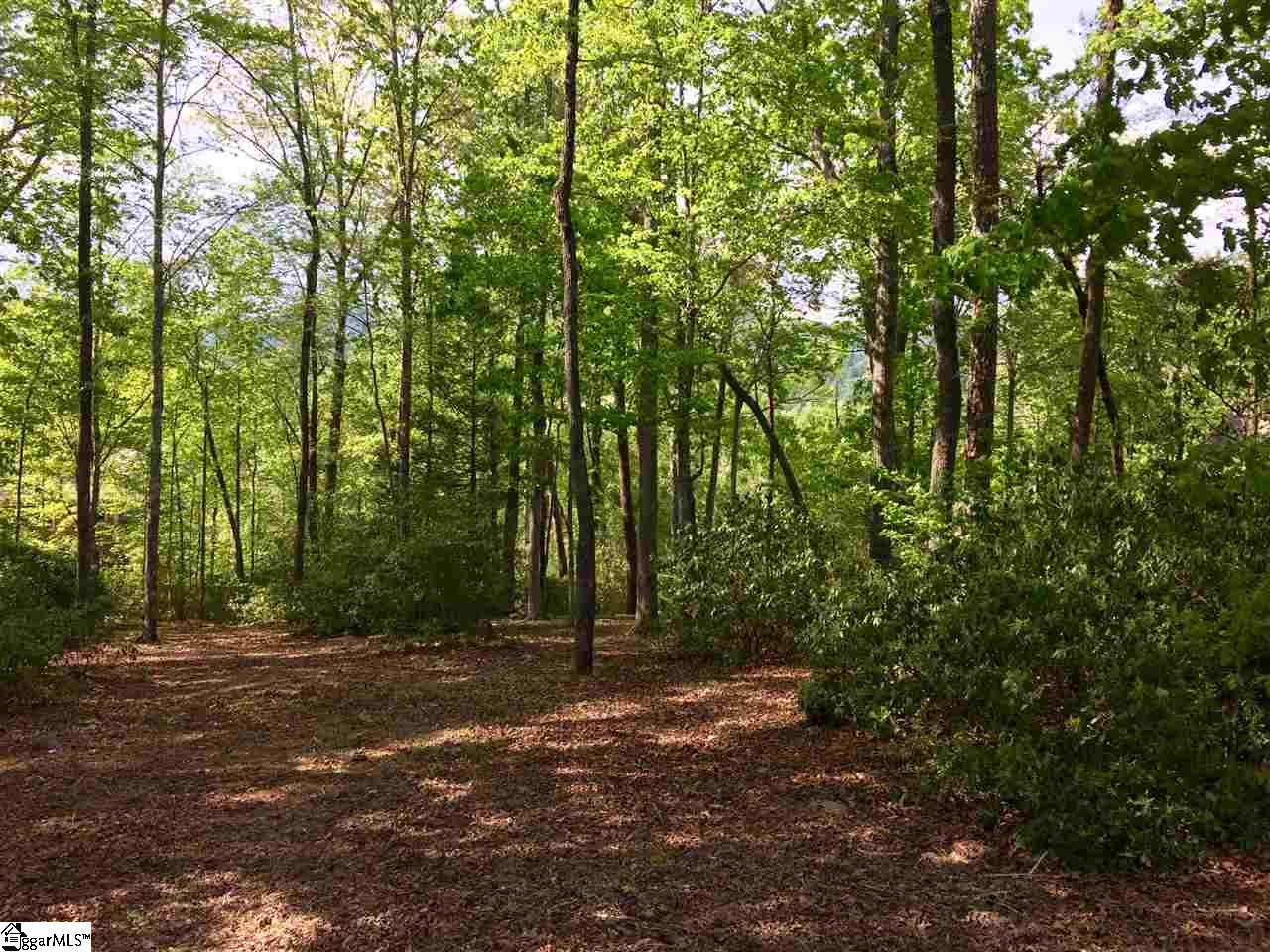 306 Lake Hills Lane, Travelers Rest, SC 29690