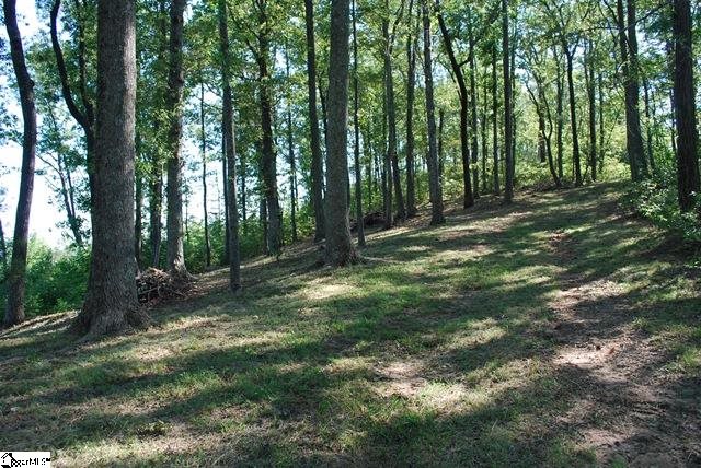 1515 Panther Park Trail, Travelers Rest, SC 29690