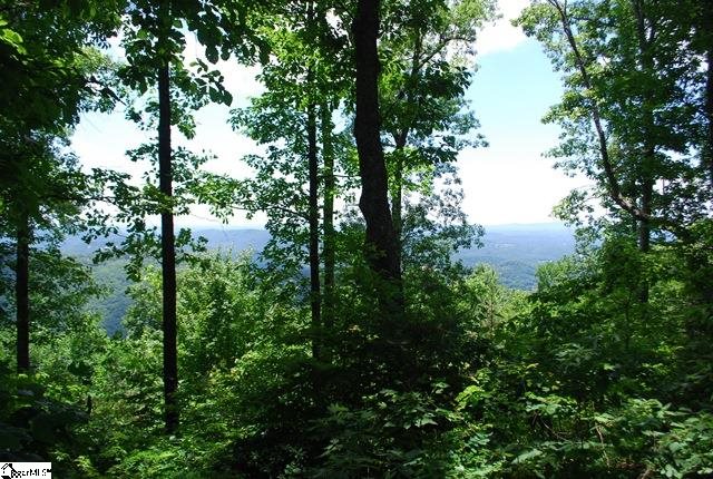 1519 Panther Park Trail, Travelers Rest, SC 29690
