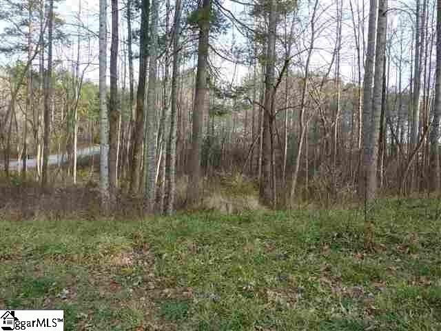 1 Falling Leaf Drive, Travelers Rest, SC 29690