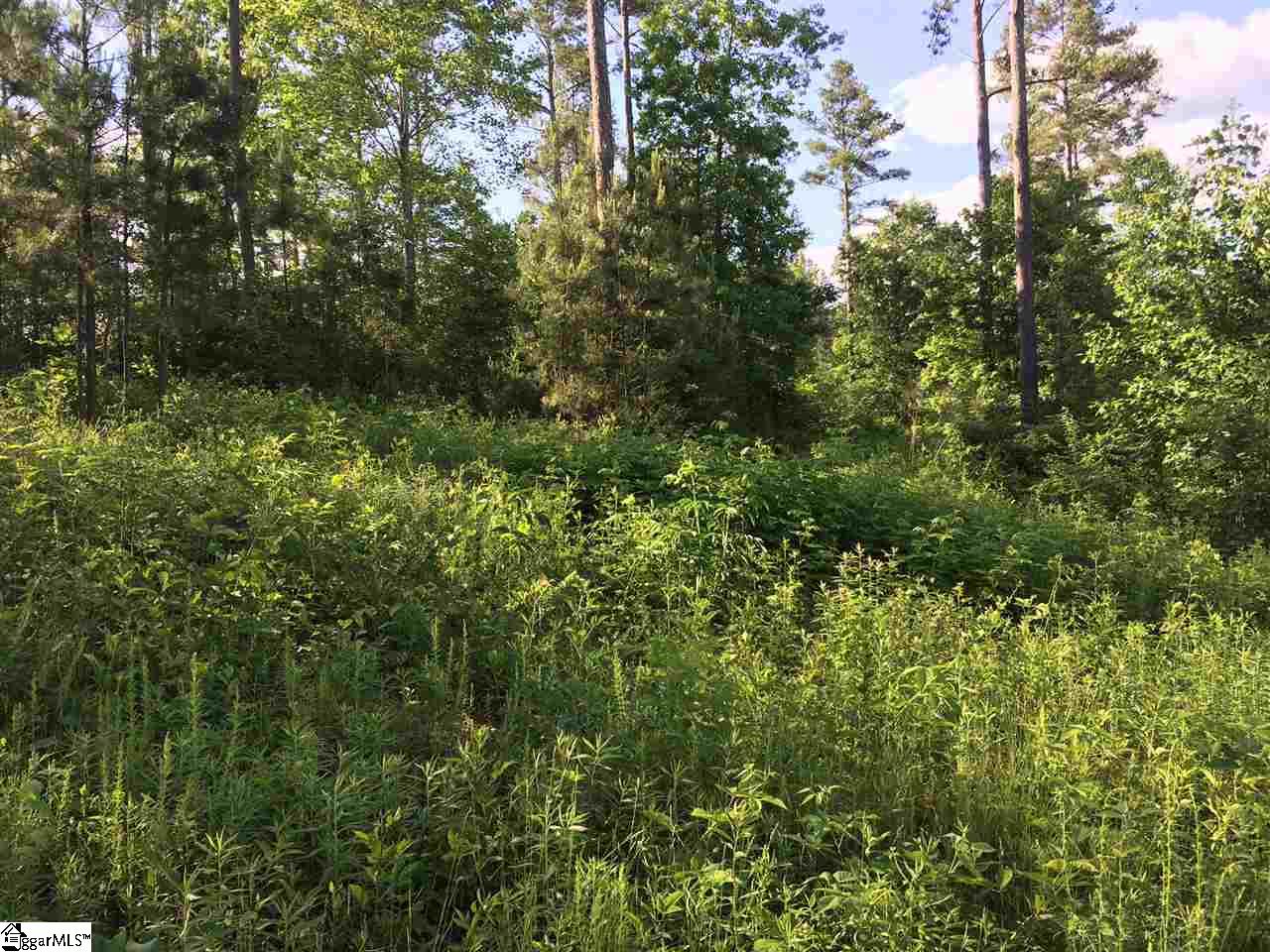 19 Tee Box Lane, Travelers Rest, SC 29690