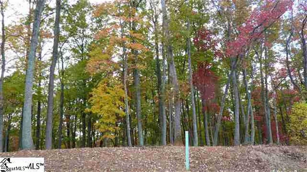 10 Valley Crest Court, Travelers Rest, SC 29690