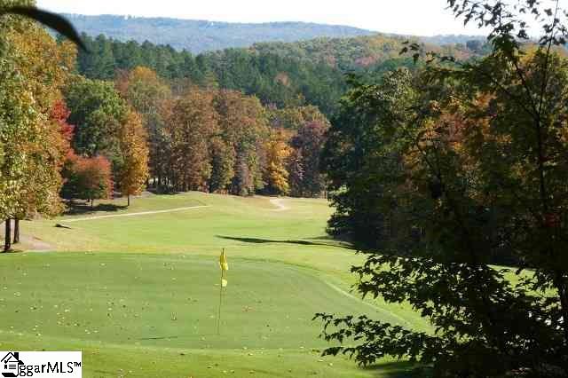 10 Valley Crest Court, Travelers Rest, SC 29690