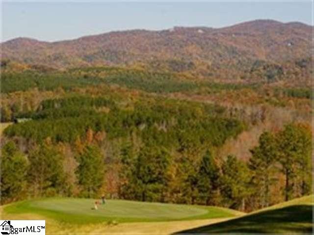 10 Valley Crest Court, Travelers Rest, SC 29690