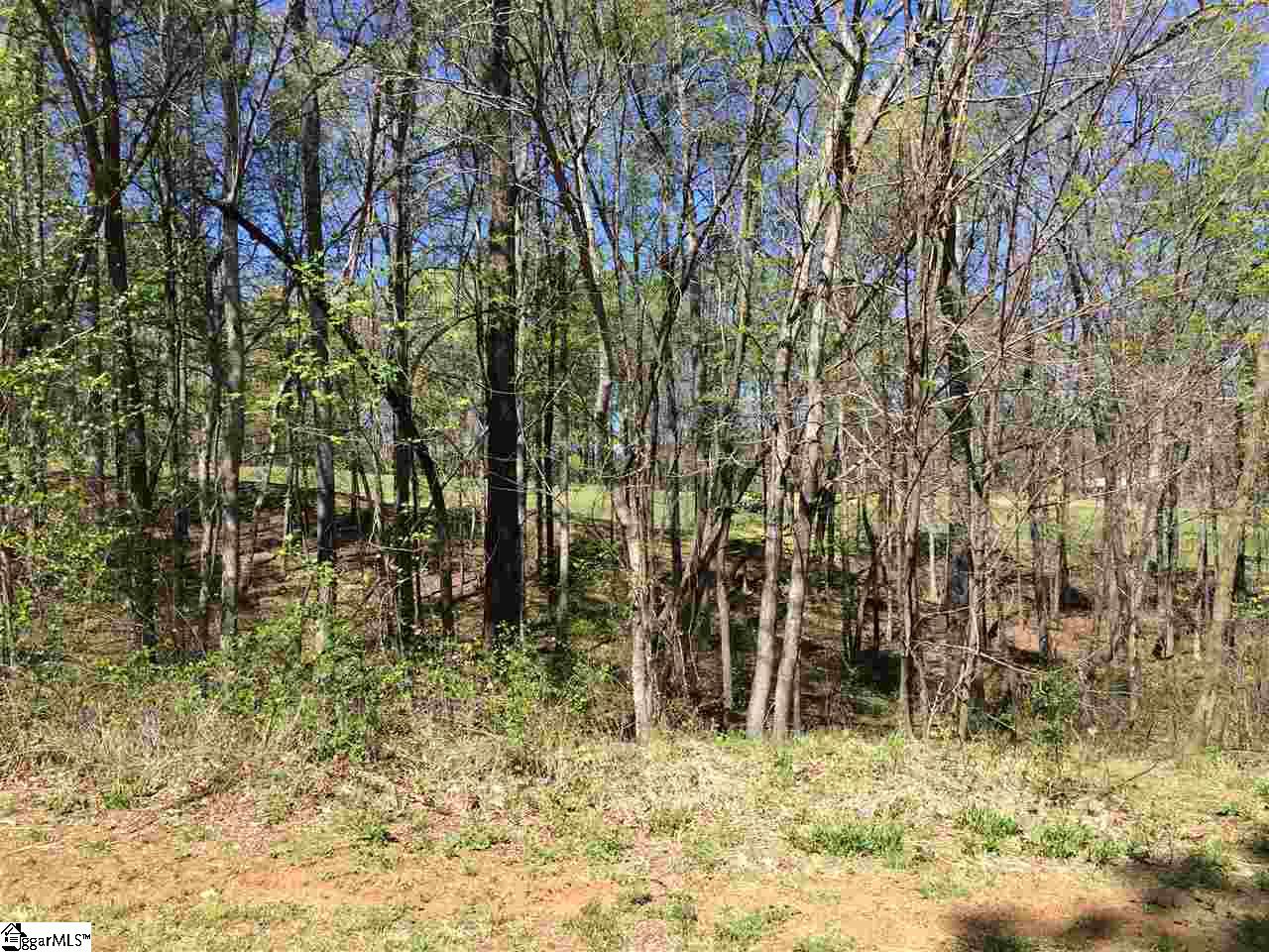 126 Laurel Valley Way, Travelers Rest, SC 29690