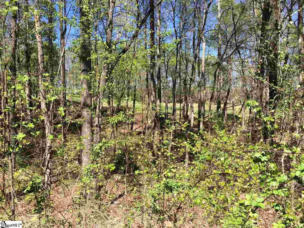 126 Laurel Valley Way, Travelers Rest, SC 29690