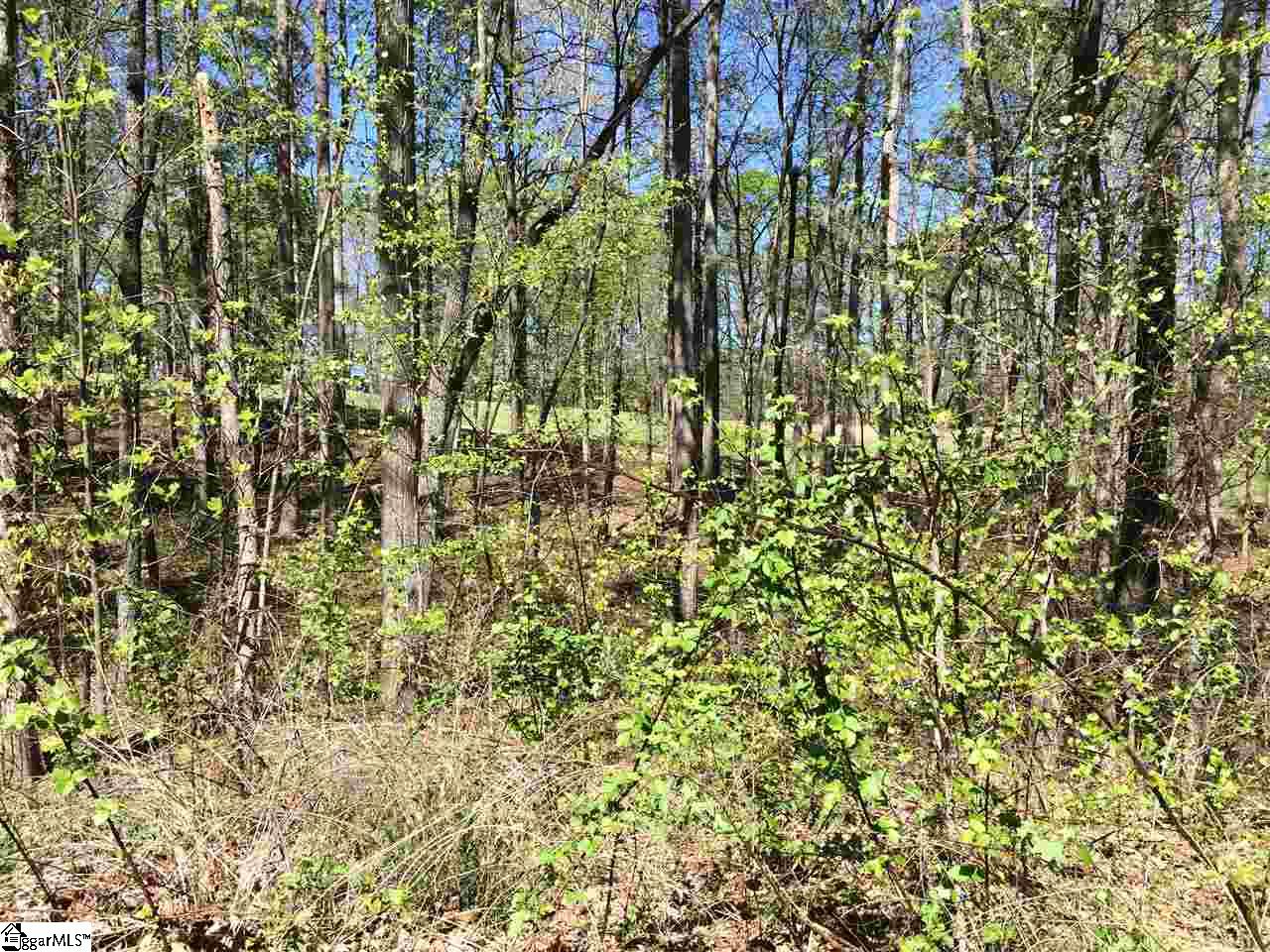 126 Laurel Valley Way, Travelers Rest, SC 29690
