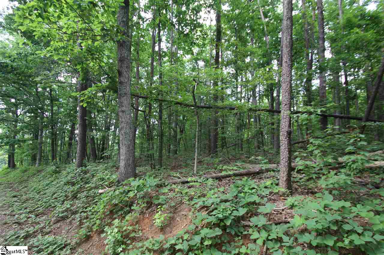 00 McCauley Lane, Travelers Rest, SC 29690