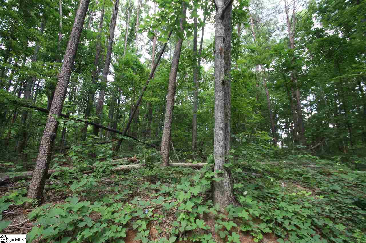 00 McCauley Lane, Travelers Rest, SC 29690