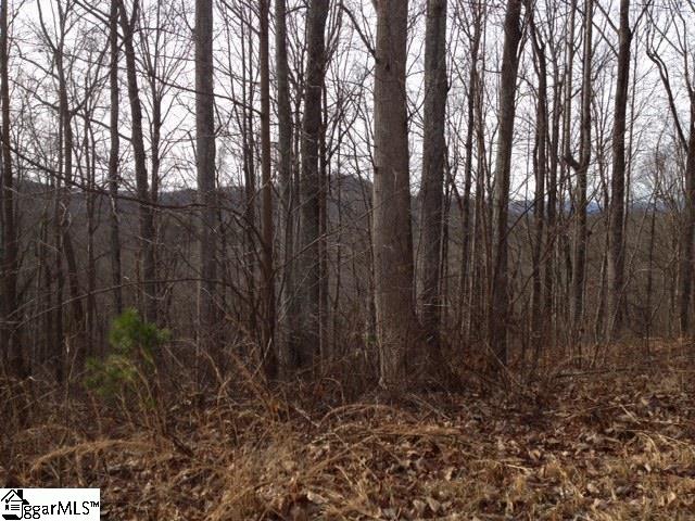 313 Laurel Valley Way, Travelers Rest, SC 29690