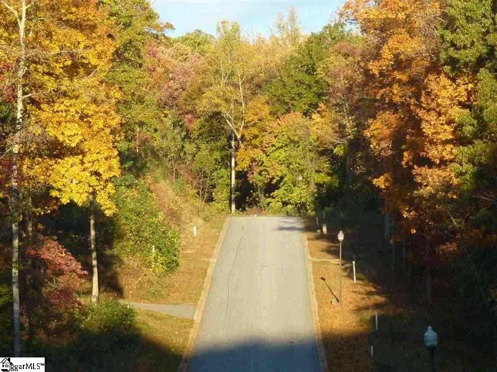 313 Laurel Valley Way, Travelers Rest, SC 29690