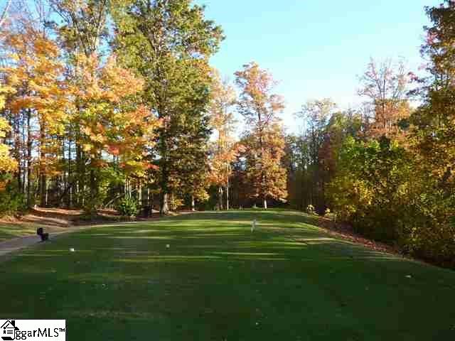 313 Laurel Valley Way, Travelers Rest, SC 29690