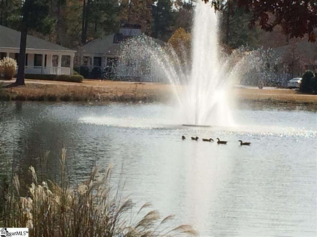 313 Laurel Valley Way, Travelers Rest, SC 29690