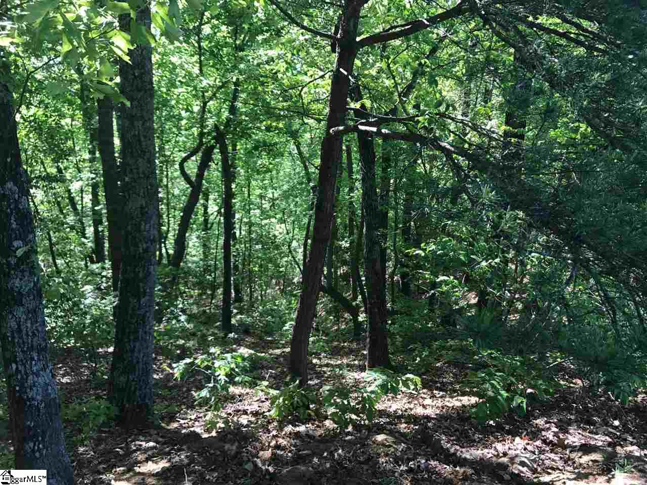 216 Links Ledge Drive, Travelers Rest, SC 29690