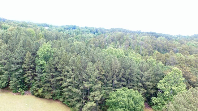 Tract 3Odell Shoals Road, Walhalla, SC 29691