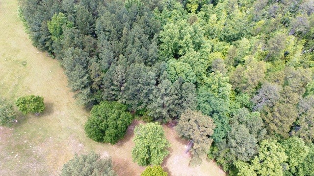 Tract 3Odell Shoals Road, Walhalla, SC 29691