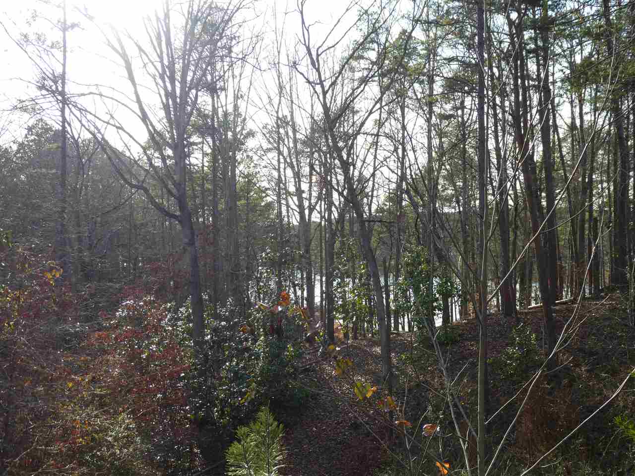 349Sumrall Way, Westminster, SC 29693