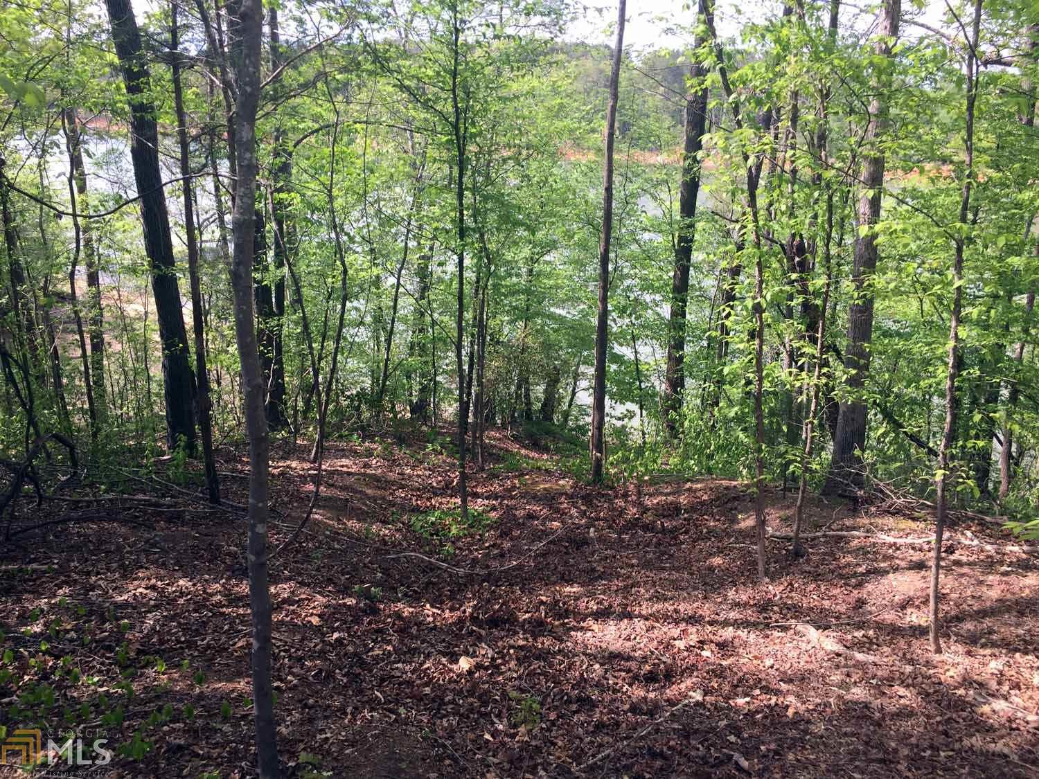 0 Lakemont Dr, Wesminster, SC 29693