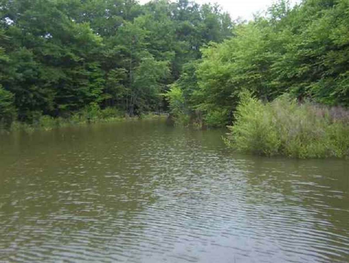 Lot 13Madison Shores Drive, Westminster, SC 29693