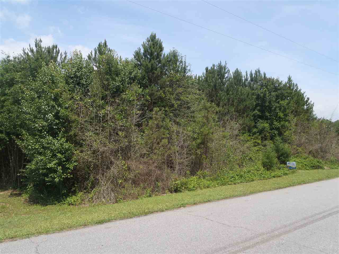 Lot 13Madison Shores Drive, Westminster, SC 29693