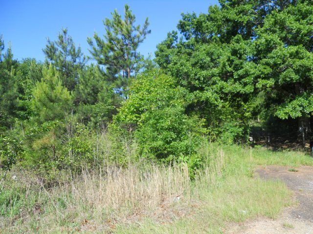 5.13 AcresOff Little Choestoea, Westminster, SC 29693