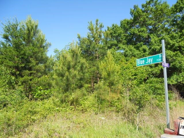 5.13 AcresOff Little Choestoea, Westminster, SC 29693