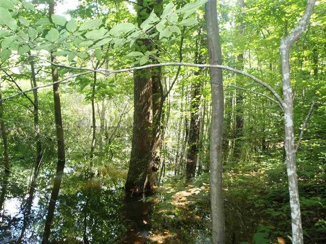 Lot 5Blackjack Cove Road, Westminster, SC 29693