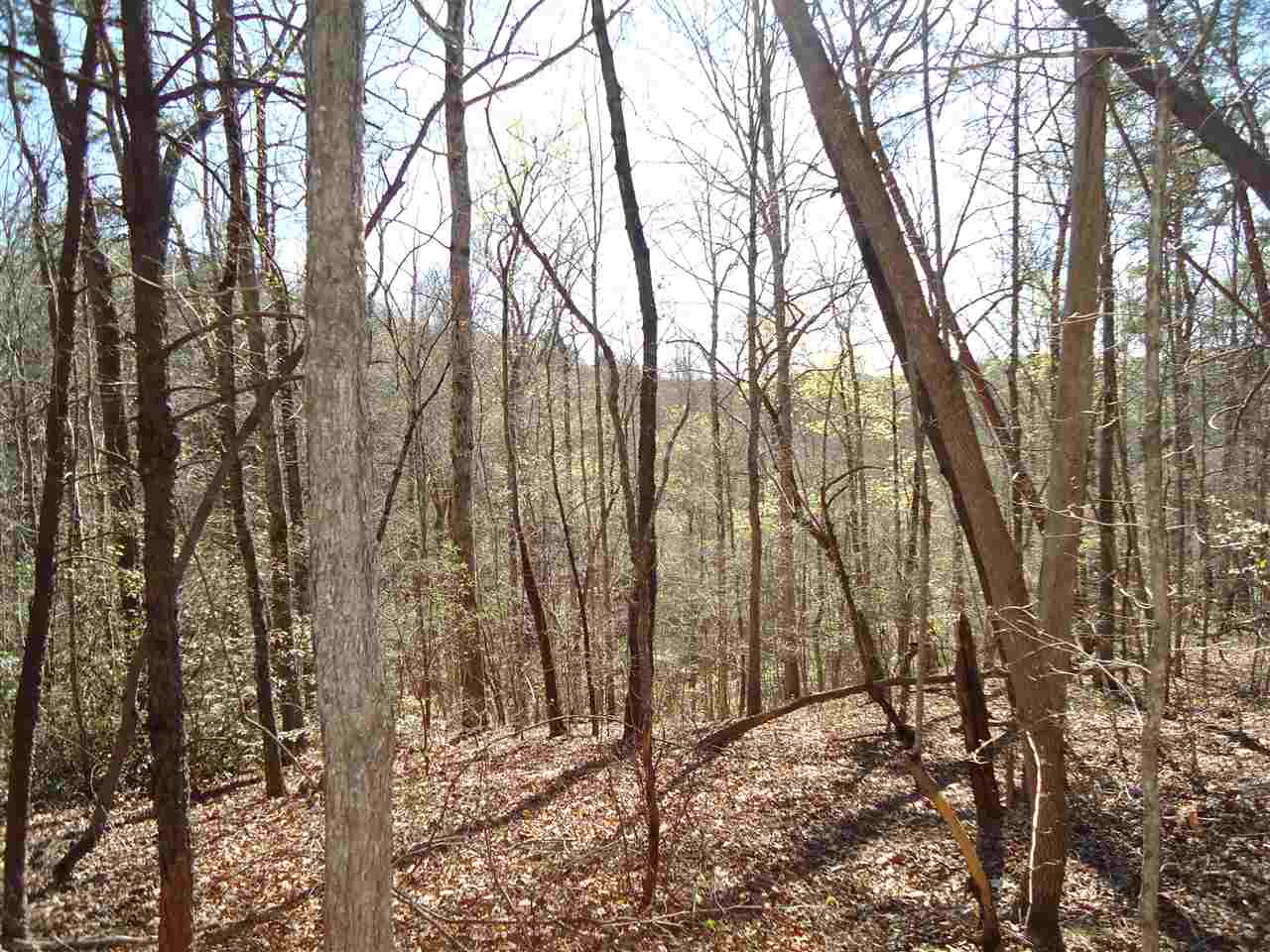 11.79 acresOld Liberty Rd, Westminster, SC 29693