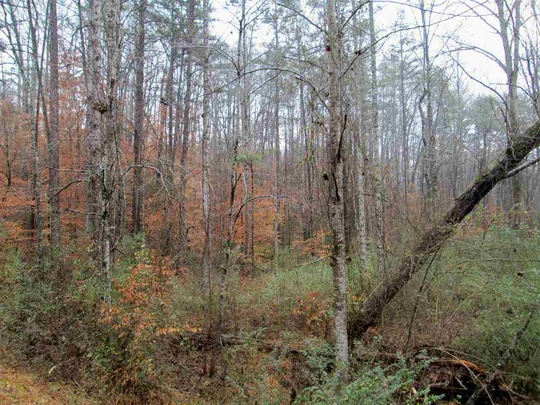 Lot 1 Mountain Bay Estates