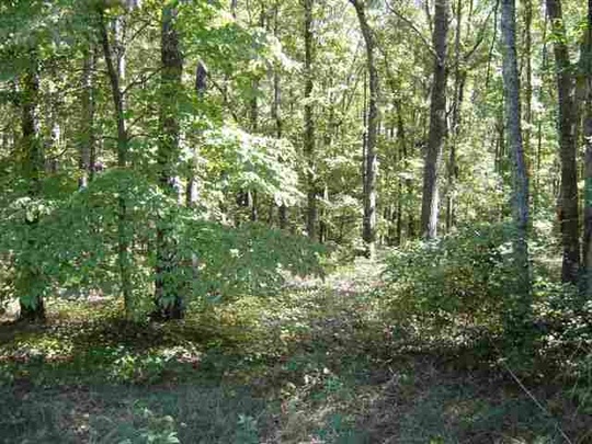 Lot 70 Chilhowee Drive