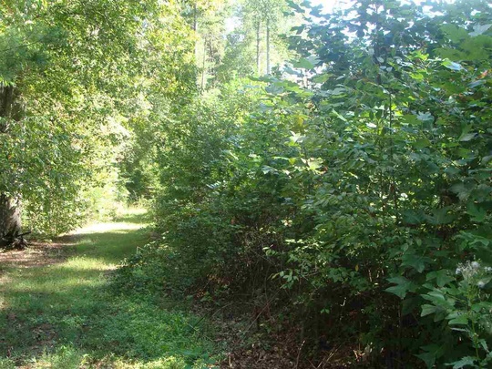 339 Oconee Ave