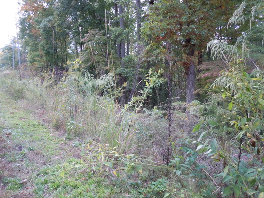 320 Oconee Ave