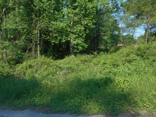 Lot 1651-415 Point Road