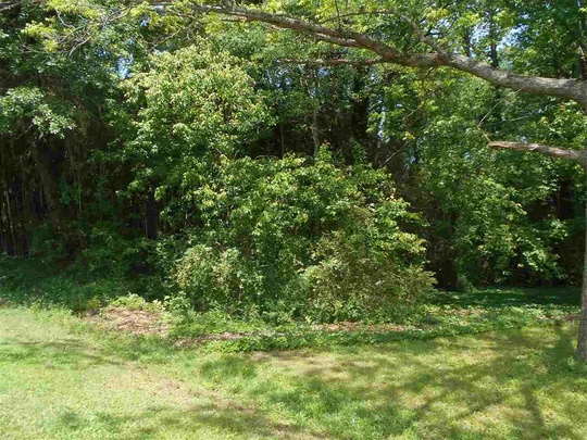 Lot 1651-415 Point Road