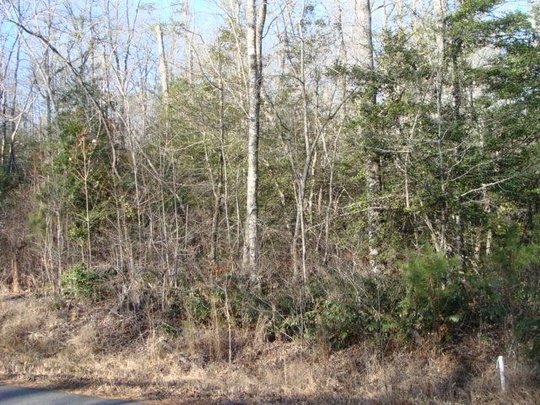 Lot 2 And Lot 3 N Shores Drive