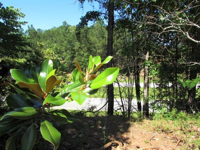 00Magnolia Drive, West Union, SC 29696