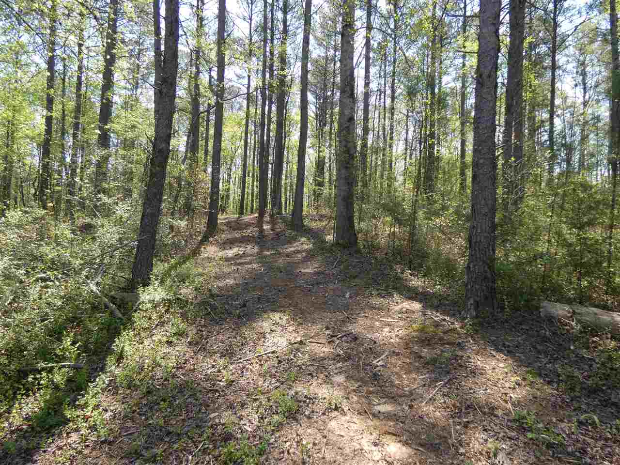 Lot 1 & 1AWellington Pointe, West Union, SC 29696