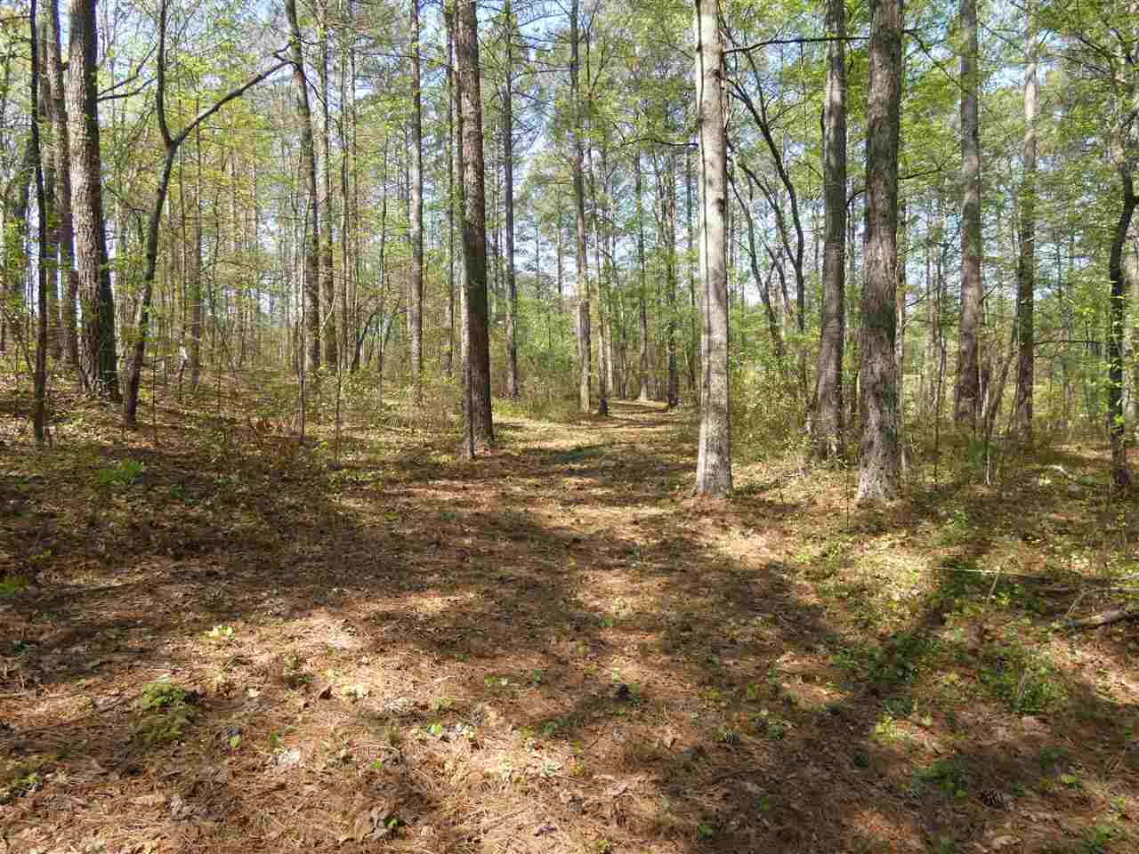 Lot 1 & 1AWellington Pointe, West Union, SC 29696