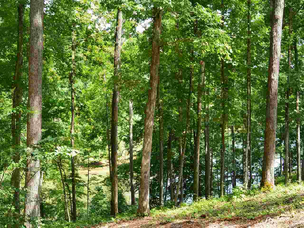 Lots 1 &amp; 2Sun Pointe Ct, West Union, SC 29696
