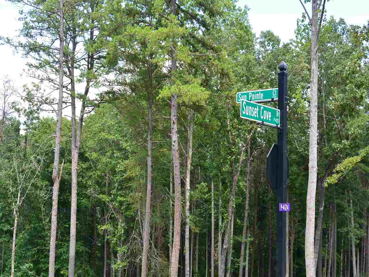 Lots 1 & 2Sun Pointe Ct, West Union, SC 29696
