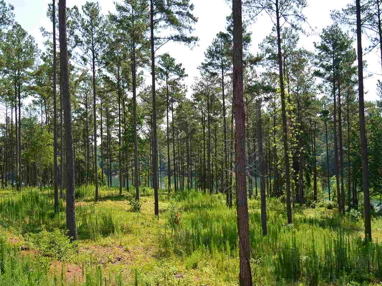 Lots 1 & 2Sun Pointe Ct, West Union, SC 29696