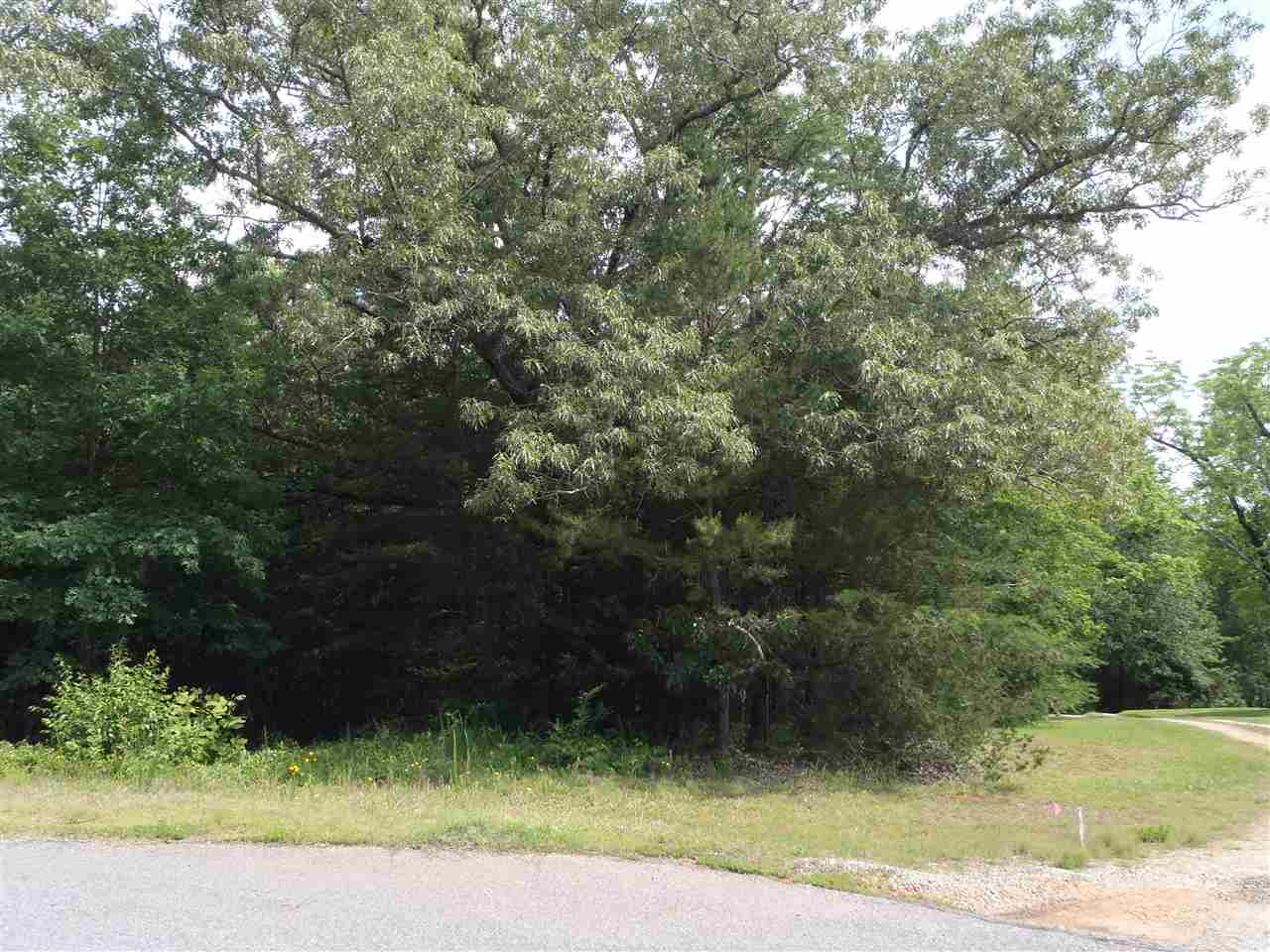 Lot 10Warriors Creek Drive, West Union, SC 29696