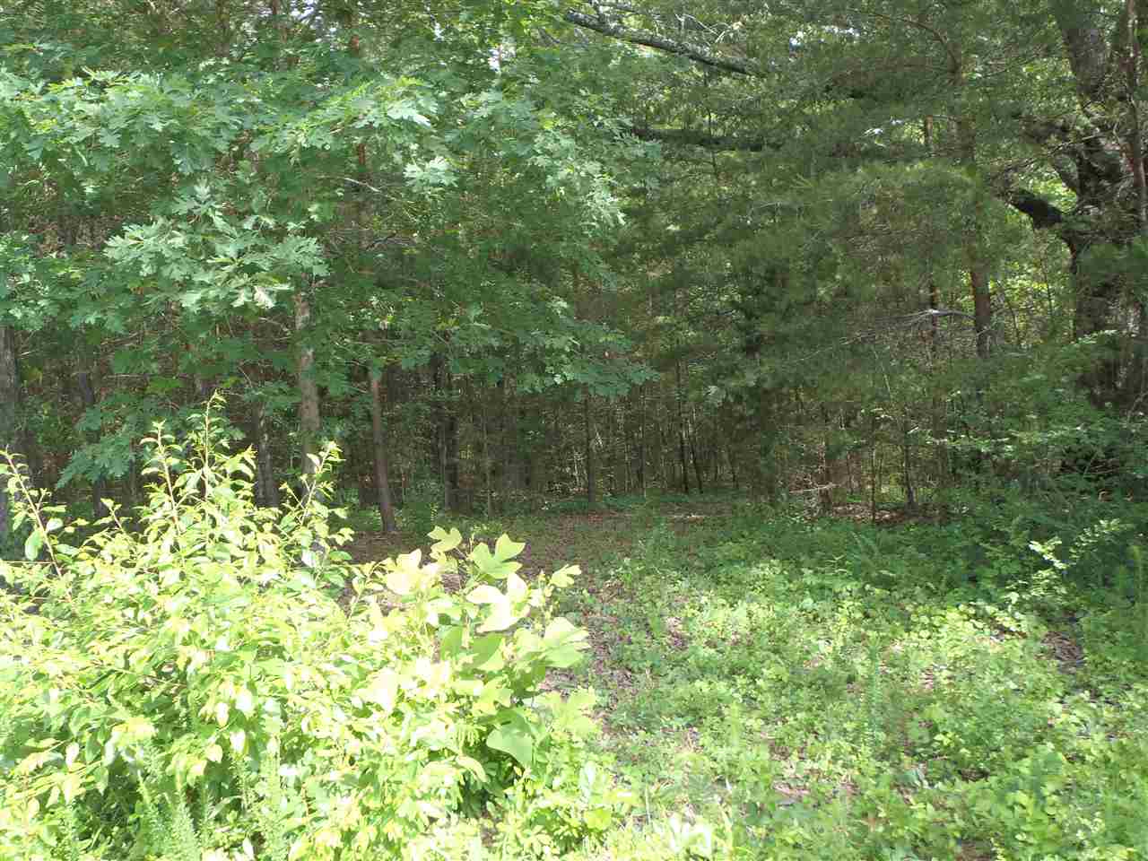 Lot 10Warriors Creek Drive, West Union, SC 29696