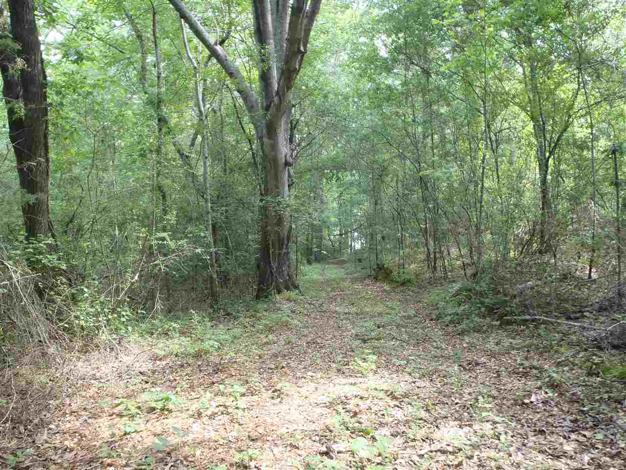Lot 10Warriors Creek Drive, West Union, SC 29696