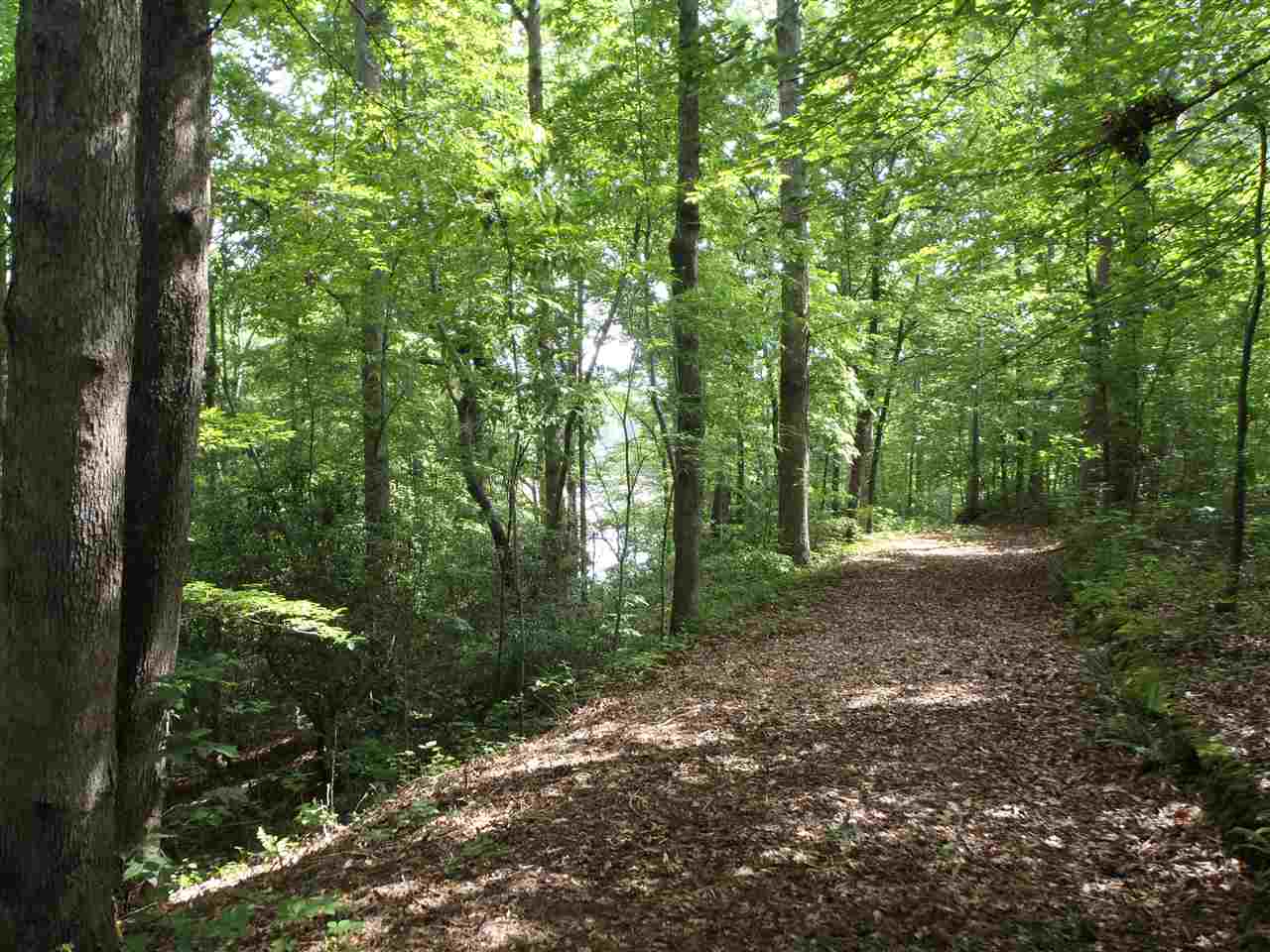 Lot 10Warriors Creek Drive, West Union, SC 29696