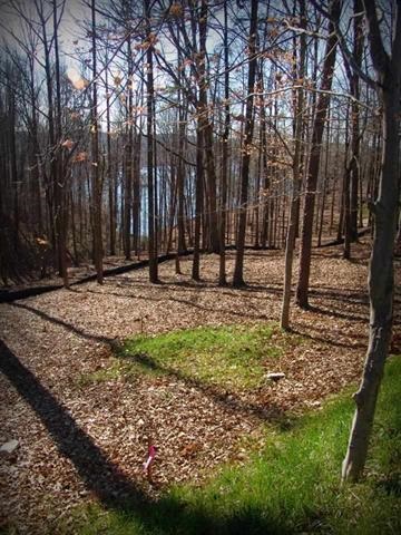 Lot 55Peninsula Pointe South, West Union, SC 29696