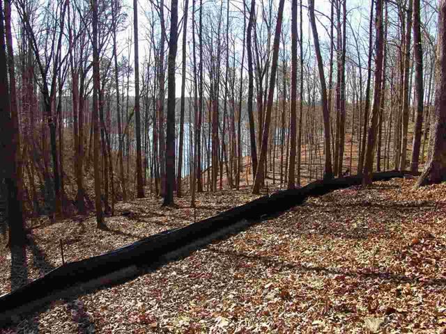 Lot 55Peninsula Pointe South, West Union, SC 29696