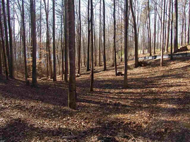 Lot 55Peninsula Pointe South, West Union, SC 29696