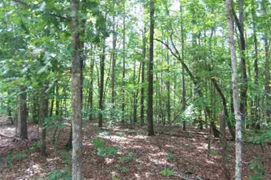 Lot 54 Waters Edge